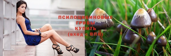 прущая мука Алзамай